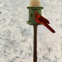 Cardinal on Bird Feeder