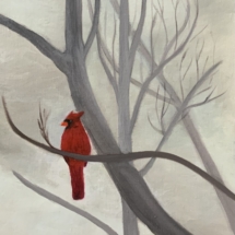 Misty Forest - Cardinal